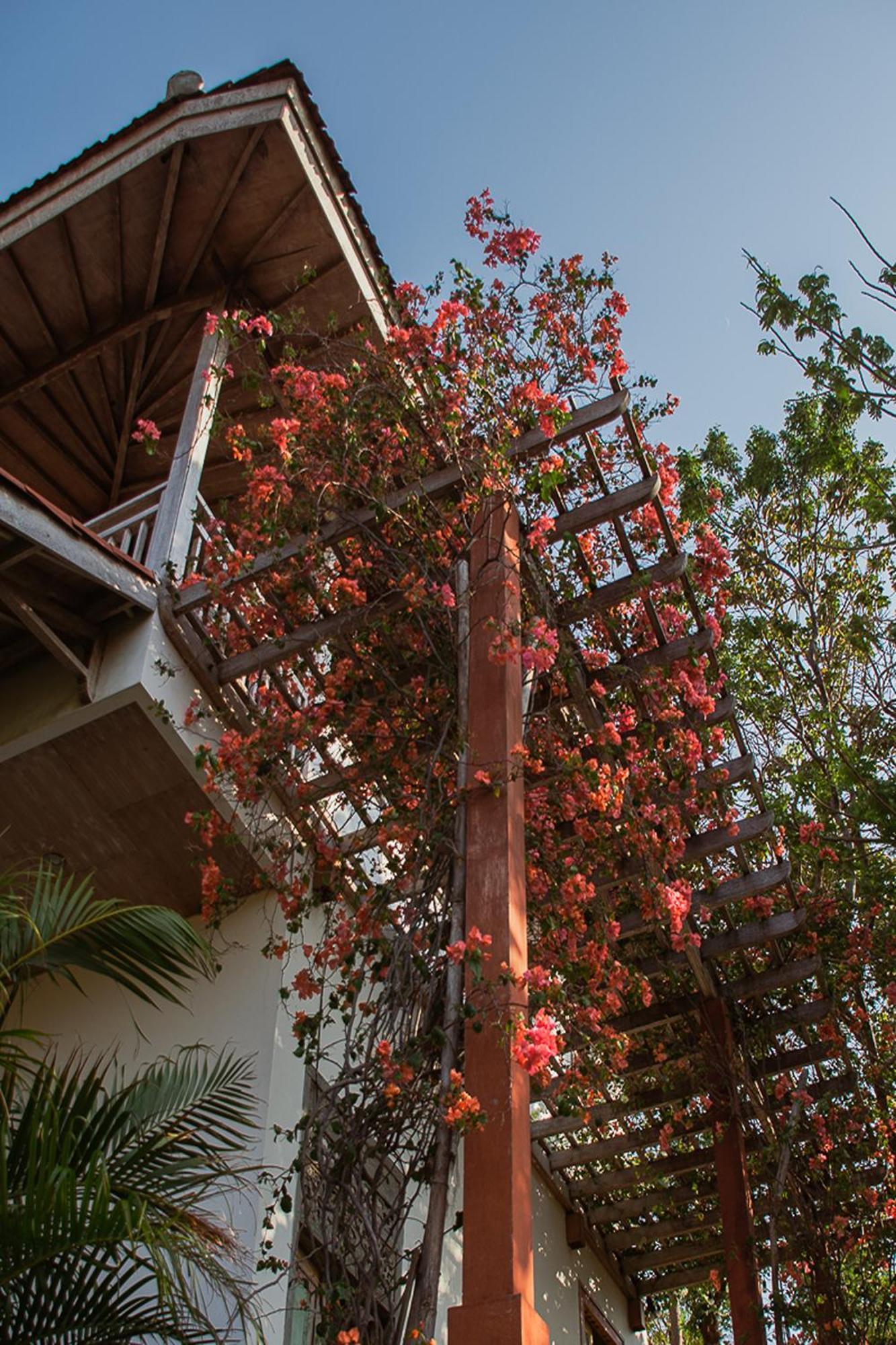 Hotel Bangsring Breeze Banyuwangi  Esterno foto