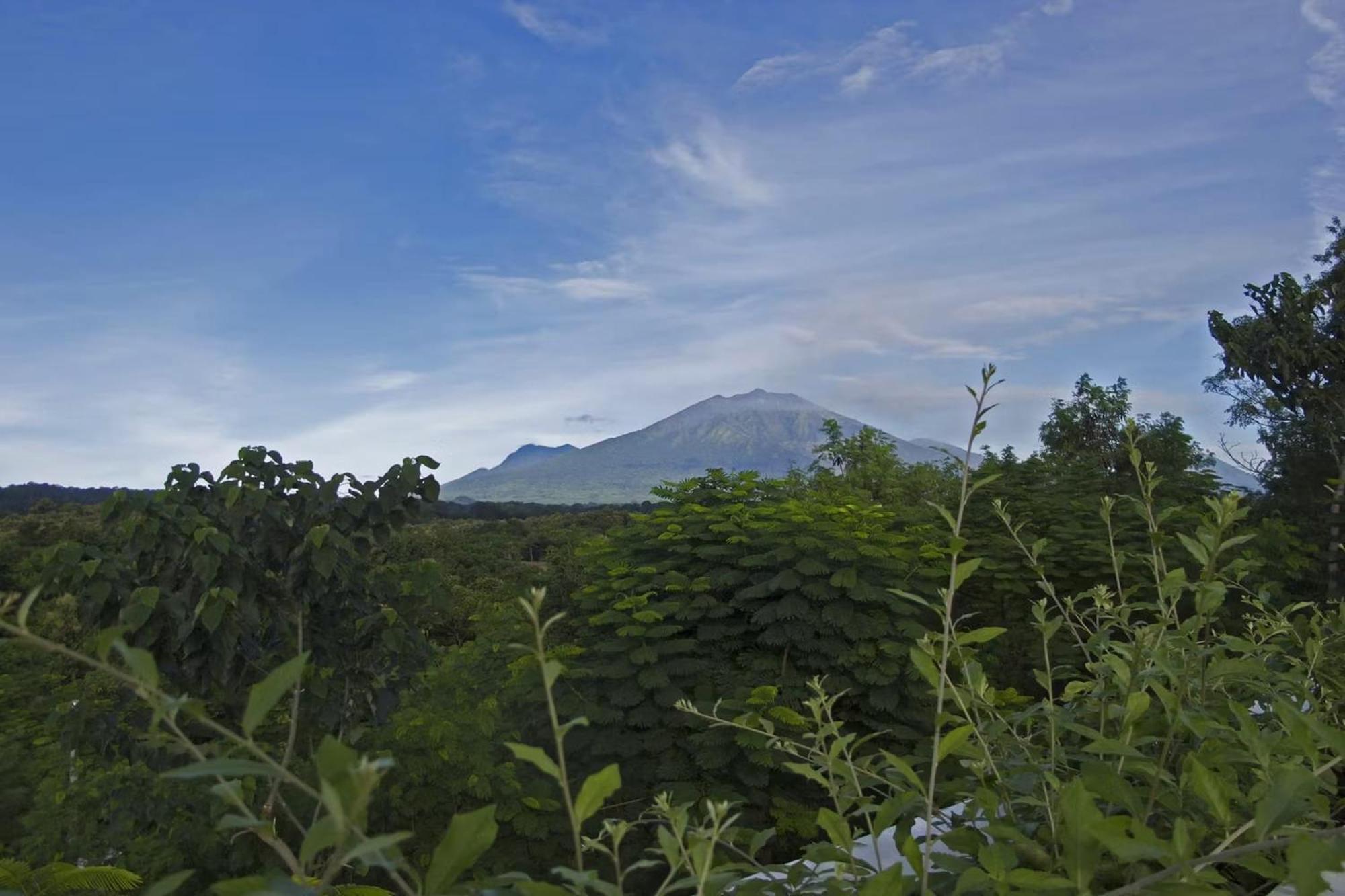 Hotel Bangsring Breeze Banyuwangi  Esterno foto